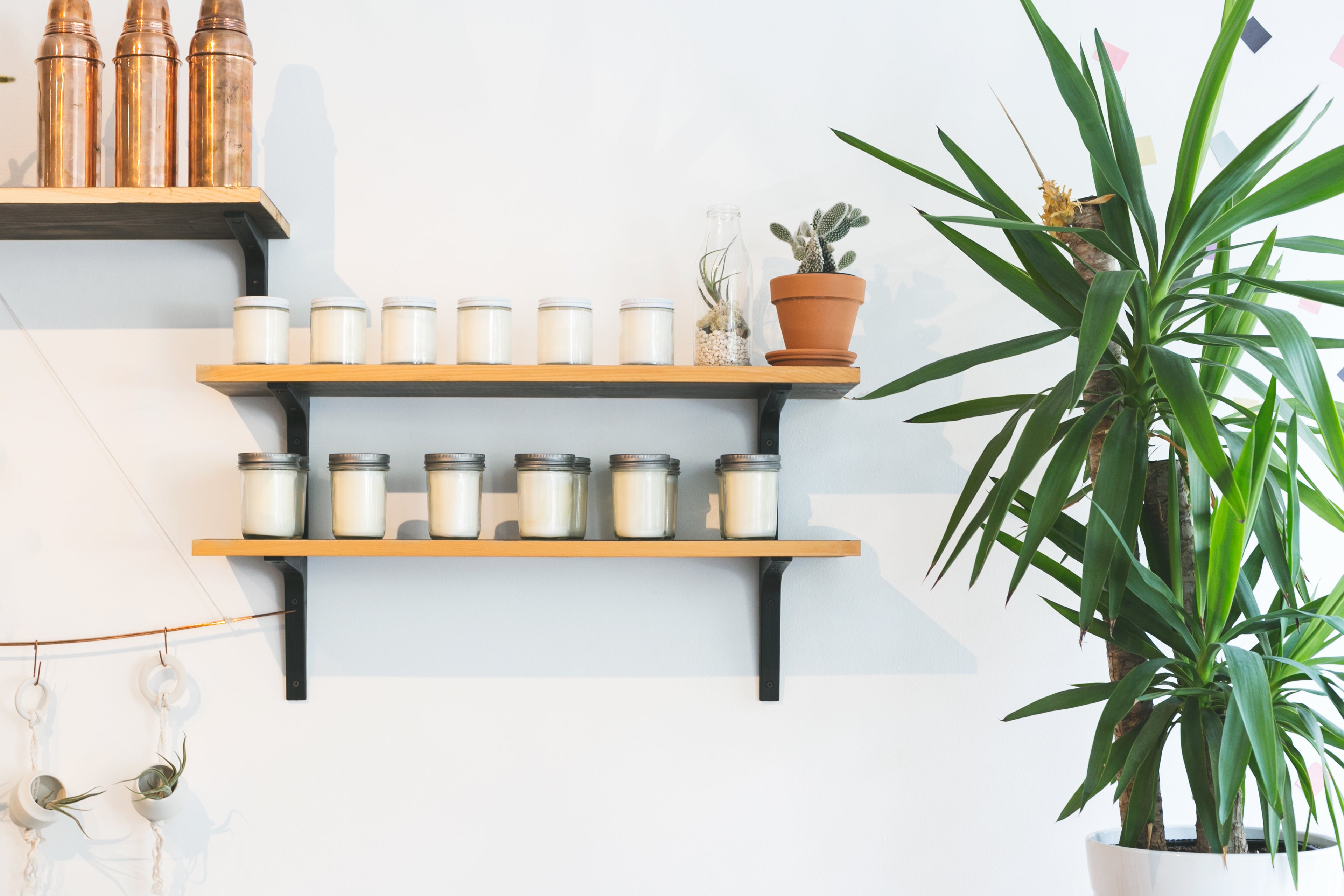 About Senola Candles | Handmade Candle Brand & Unique Candle Scents